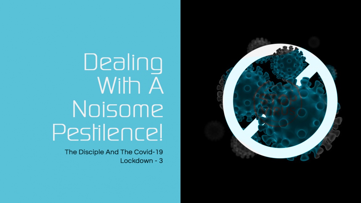 Dealing With A Noisome Pestilence!
