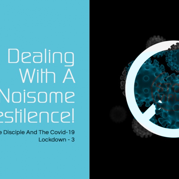 Dealing With A Noisome Pestilence!